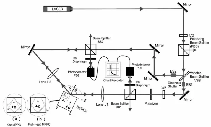 Fig. 1. Experimental arrangement for demonstrating and investigating the +c face incident type of MPPCs.