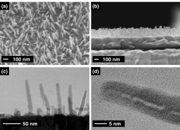 FIG. 3. 共Color online兲 Surface topology and the corresponding current dis- dis-tribution for an ITO film and nanorod electrodes