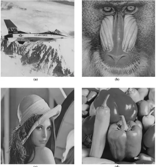 Fig. 4. Resulting stego-images after embedding a ®le consisting of the text of this paper.