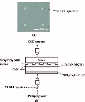 Figure 1共a兲 shows the microscopic image of a fabricated