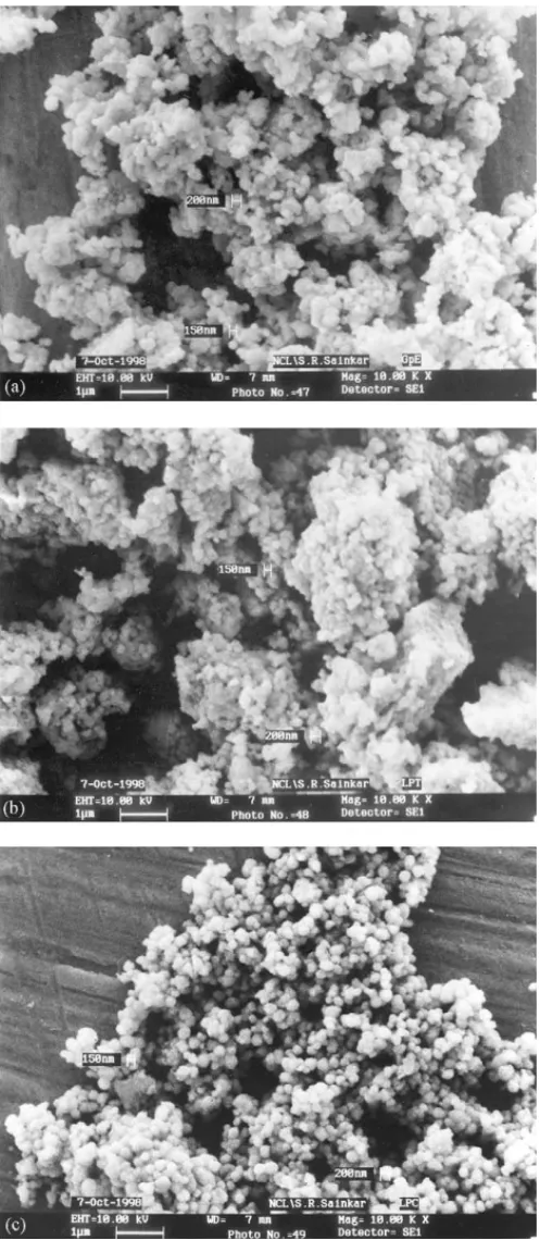 Fig. 7. SEM images of (a) Gd 0 .95 PO 4 :Eu 0 .05 3 + , (b) La 0 .95 PO 4 :Tb 0 .05 3 + and (c) La 0 .95 PO 4 :Ce 0 .05 3 + powder phosphors.