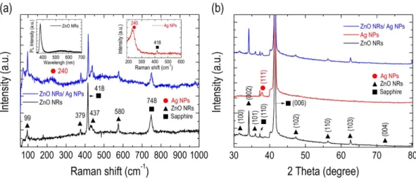 Figure 3. (a) Raman spectra of the samples with (blue line) and without (black line) drop-casted Ag NPs 