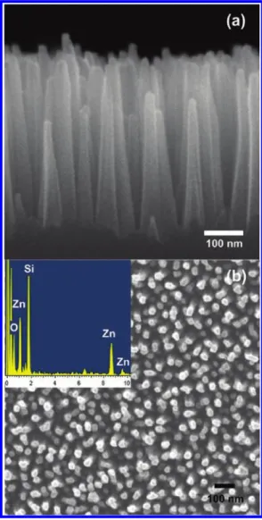 Figure 1a shows the typical cross-sectional image of the ZnO/Si- ZnO/Si-NPs viewed by the ﬁeld emission scanning electron microscope (FESEM)