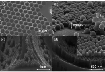 Fig. 3. SEM figures. (a) Microbowls array texture on LED-II surface. (b) Silica nanoparticles were spin coated on surface