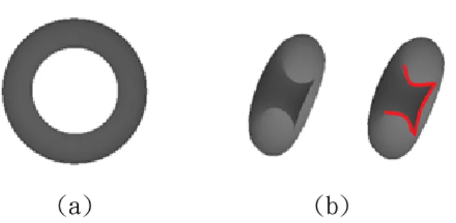 Fig. 13. case 1 示意圖(a) 3D model 產生的斷層，T 為折射向量,(b) 以 bunny 為例 