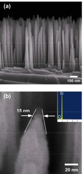 Figure 1. The FESEM images for (a) the cross-sectional (side-view)
