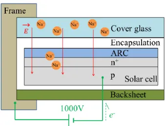 Figure 1. The structure of a crystalline Si PV module was introduced. In this diagram, the solar cells  are negative-biased and the shunting model via sodium ions (Na + ) is depicted