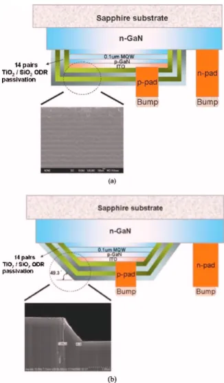 Figure 2. 共Color online兲 Photonic band structure diagram of a 1D PC com-