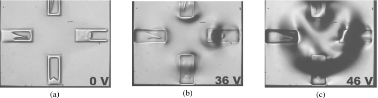 Figure 2. Photos of deformed mirror membrane and four embedded bimorph beams at different input voltages
