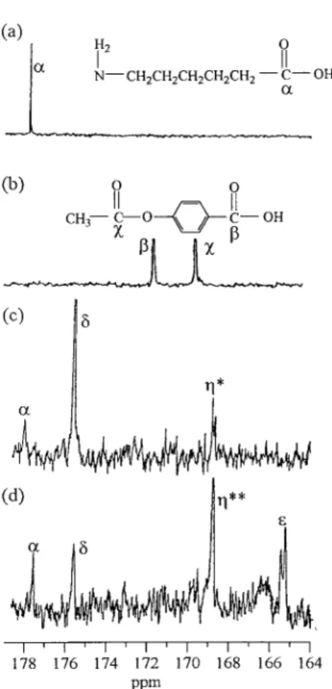 Figure 1. Carbonyl region of the 13 C NMR spectra of