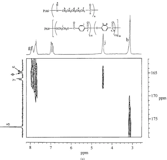 Figure 2. 2D 1 H– 13 C NMR spectra of (a) the freshly prepared 50/50 P64/PA6 blend