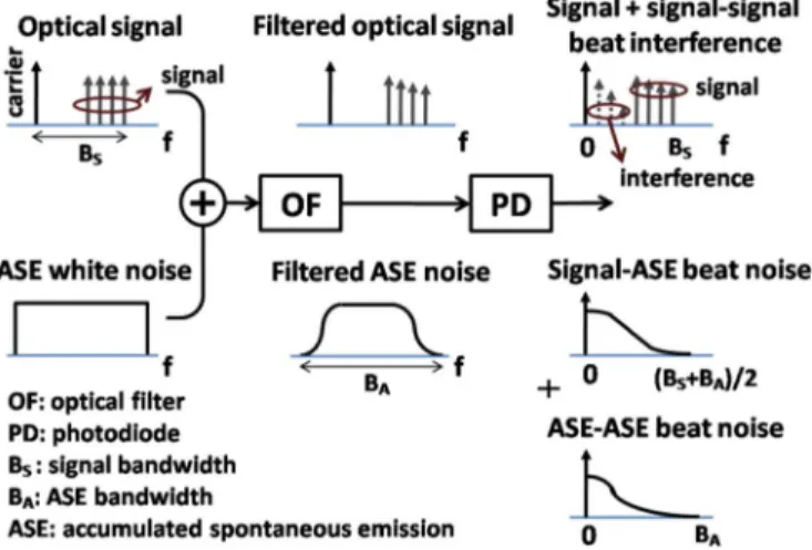 Fig. 1. Progress of the power spectra of the signal and the ASE noise for SSB- SSB-OFDM systems.
