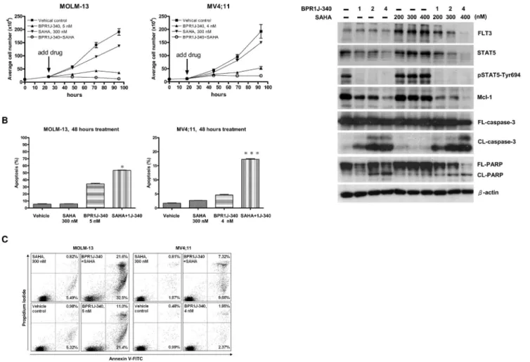 Figure 4. The effect of BPR1J-340 and SAHA versus drug combination on AML FLT3-ITD+ cells
