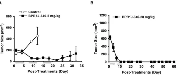 Figure 6. Antitumor activity of BPR1J-340 against FLT3-ITD-driven leukemia tumor growth in nude mice