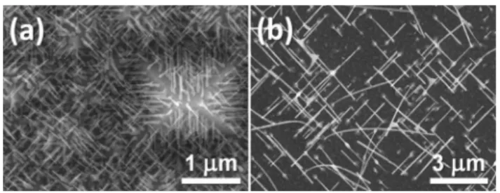 Fig. 9 SEM images of the as-synthesized products form (a) zone III and (b) zone IV by using [100]-oriented crystalline Ge strips as substrates.