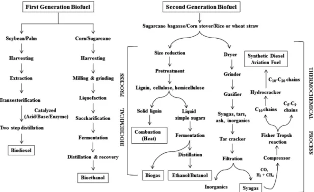 Fig. 3 starts with harvesting the crops, extraction of sugar and its dilution to about 20% solution, if necessary, and addition of yeasts to convert into ethanol