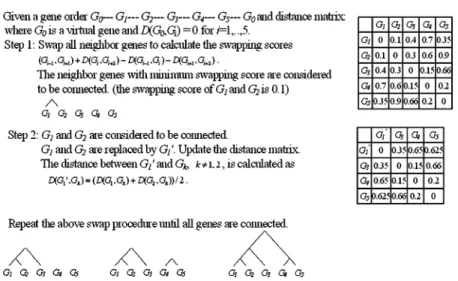Fig. 1. Steps and an example of constructing a hierarchical tree from a given gene order