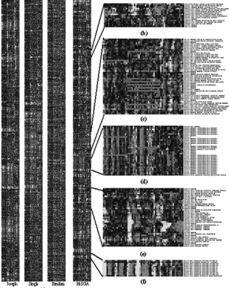 Fig. 5. Comparing HeSGA with three methods (Joseph’s method, single-linkage method, and random permutation) on visualized gene expressions associated with gene orders obtained on the cell cycle data [2]