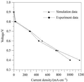 Fig. 4 Comparison of simulation with experiment polarization