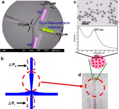 Fig. 3. (a) FE-SEM photograph of the microjet. (b) Schematic of the measured pressure spots