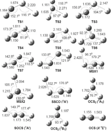 FIG. 3. Semilogarithmic plot of temporal profiles of 关S兴 t observed after