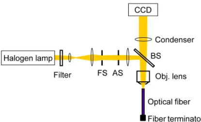 Figure 1 shows the experimental setup for measuring surface reflectivities on an optical fiber  end