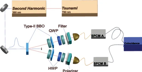 FIG. 2. (Color online) The experimental setup [9]. Tsunami: the laser system; QWP: quarter wave plate; HWP: half wave plate.