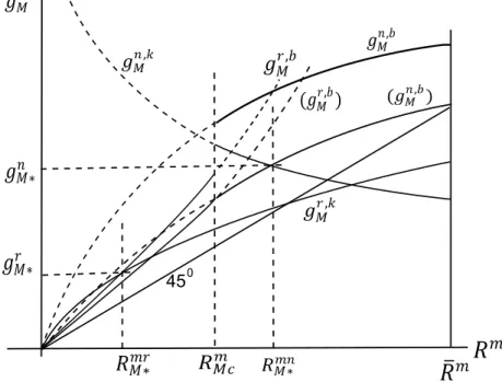 Figure 2. Equilibrium under Money Financing   