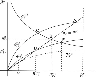 Figure 3. Equilibrium under Tax Financing 