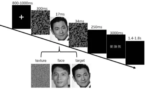 Figure 1. Experimental paradigm. 