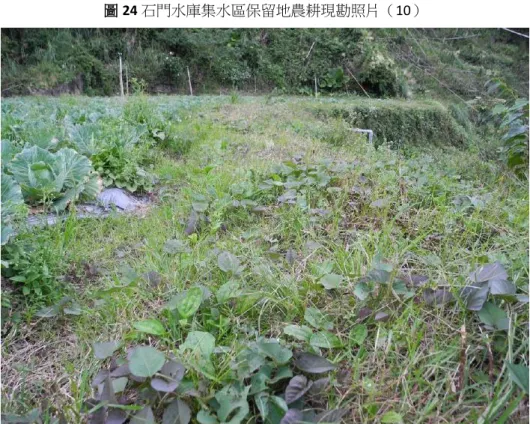 圖 25 石門水庫集水區保留地農耕現勘照片（11） 