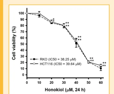 Fig. 1. Honokiol reduces the cell viability via a concentration-dependent manner in human colorectal cancer cells