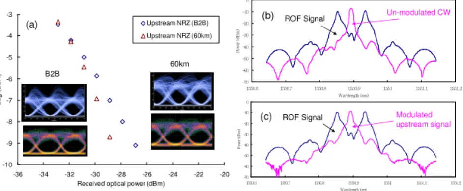 Fig. 5. (a) BER measurements of the upstream NRZ signal and (b) optical spectra of the ROF  with the un-modulated CW signals and (b) optical spectra of the ROF with the upstream NRZ  signals