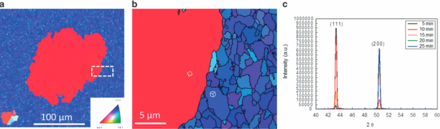 Figure 2 Two-dimensional anisotropic crystal growth in o1114 nt-Cu ﬁlms. (a) Plan-view inverse pole ﬁgure map of the large o1004 grain obtained from electron backscattered diffraction