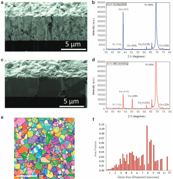Figure 9 Normal grain growth in Cu ﬁlms without o1114-oriented nt-Cu. (a) Cross-sectional focused ion beam (FIB) image for the as-fabricated Cu ﬁlm at 200 mA cm − 2 