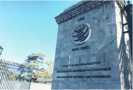 Figure 7. The WTO Secretariat in Geneva, Switzerland