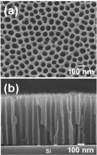Figure 2. SEM images of the fabricated AAO template: 共a兲 Plan-view, and