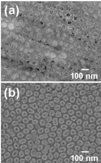 Figure 5. 共a兲 Plan-view SEM images showing the surface morphology of