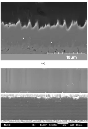 Figure 2. Photonic band diagram of a 1D PC composed of TiO 2 and