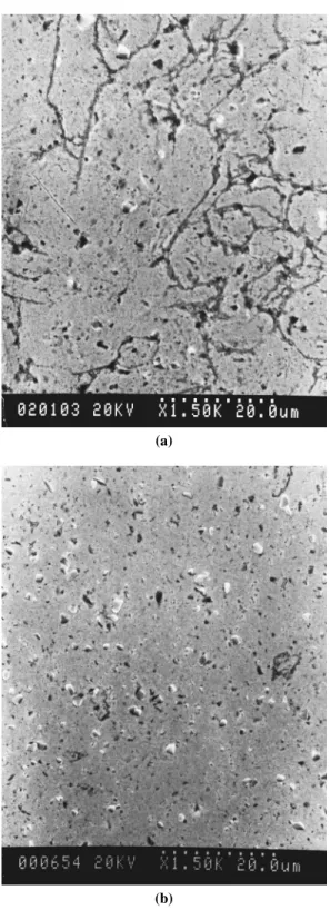 Figure 6. SEM micrographs of the 2 wt% SiC p –Cu composites (a) as sintering, and (b) extruded.