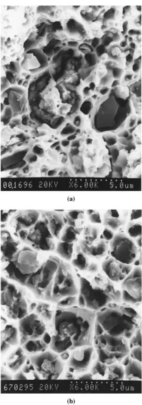 Figure 9. SEM micrographs of the fracture surface of composites in (a) 0.6% uncoated SiC p , and (b) 2 wt% coated SiC p .