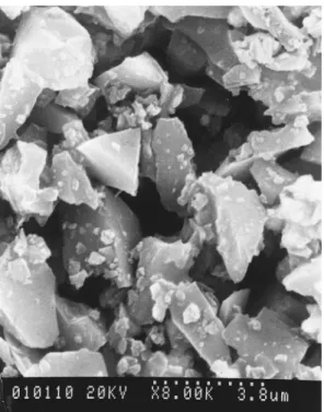 Figure 1. SEM micrograph of SiC p .