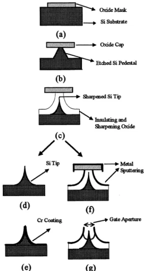Fig. 2 A Si tip array formed by SFdC12 RUE (a)