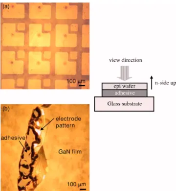 Figure 4. 共Color online兲 Atomic force microscopy of the GaN surface with-