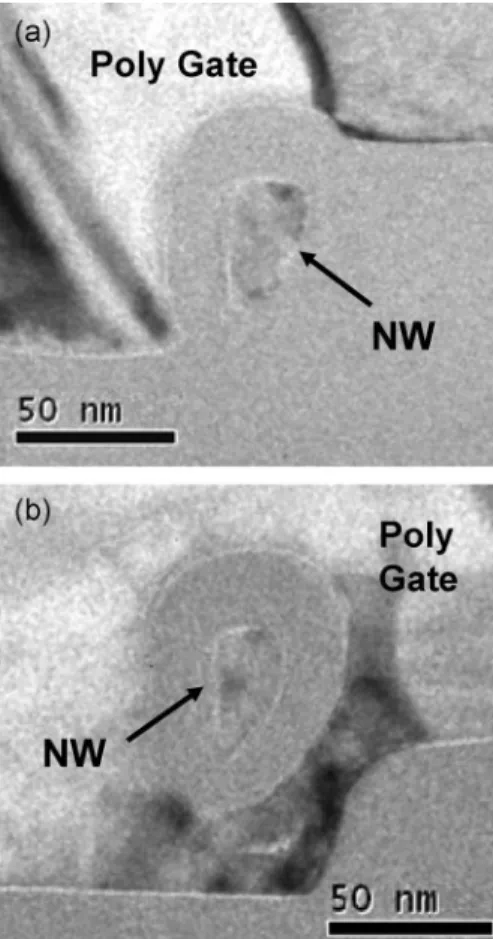 Fig. 5. TEM pictures of (a) S2 and (b) S3 NWTFTs.