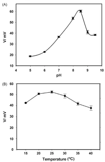 Fig. 3 A, the HRP-catalyzed luminescence detected on the opti- opti-cal H 2 O 2 biosensor increased from pH 5 to 8.5, and reached
