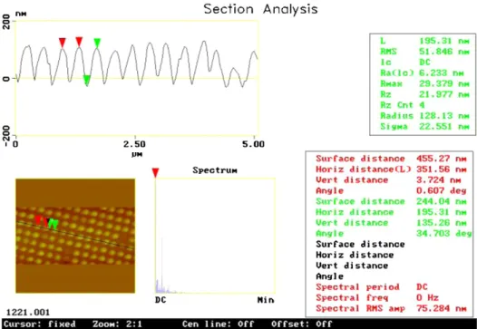 Figure 10. AFM image of the replication structures on the PET film.