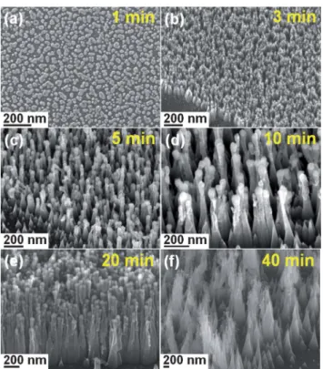 Fig. 1 SEM images of the nanostructures synthesized on Fe/Si substrates at the deposition times of (a) 1 min, (b) 3 min, (c) 5 min, (d) 10 min, (e) 20 min, and (f) 40 min, respectively.