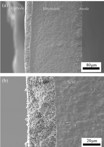 Fig. 9 e IeV curves and the corresponding power densities of the micro tubular SOFC, containing a ScSZ electrolyte, a LSM eGDC composite cathode, and an anode composed of a NiO eScSZ composite layer and a NiO layer, measured at different temperatures.