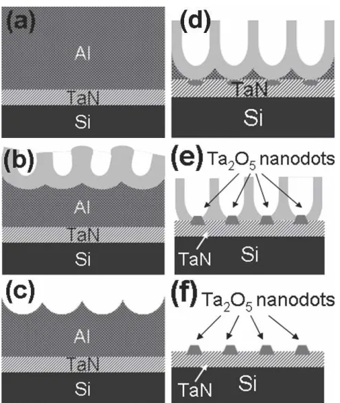 FIG. 1. Schematic diagrams showing the steps involved in fabrication of ordered Ta 2 O 5 nanodots: (a) deposition of 50-nm TaN and 1.5- ␮m Al